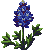 texas_bluebell_variant4.png