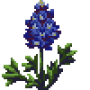 texas_bluebell_variant4.png