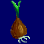 tulip_seed.png