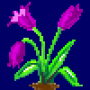 tulip_variant3.png