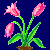 en:tulip_variant4.png