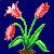 en:tulip_variant5.png
