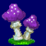 witch_mushroom_variant4.png