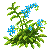 wood_forget_me_not_seed.1466161248.png