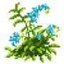 wood_forget_me_not_variant1.png