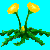 flowers:1.mature.1.png