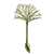 flowers:1.seed.png