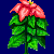 flowers:14.mature.40.png