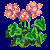 flowers:20.mature.20.png