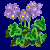 flowers:20.mature.33.png