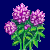 flowers:21.mature.44.png