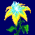 flowers:23.mature.111.png