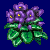 flowers:24.mature.47.png