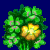 flowers:25.mature.55.png