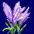 flowers:27.mature.123.png