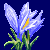 flowers:27.mature.124.png