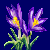 flowers:27.mature.57.png