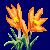 flowers:27.mature.58.png