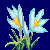 flowers:27.mature.59.png