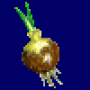 35.seed.png
