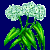 flowers:37.mature.78.png