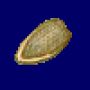 42.seed.png