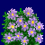 flowers:45.mature.98.png