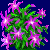 flowers:49.mature.106.png