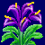 flowers:51.mature.114.png