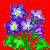 flowers:55.mature.132.png