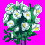 flowers:58.mature.148.png