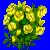flowers:58.mature.151.png