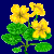 flowers:60.mature.157.png