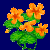 flowers:60.mature.158.png