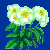 flowers:61.mature.164.png