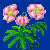 flowers:61.mature.168.png