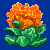 flowers:62.mature.170.png