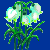 flowers:64.mature.177.png