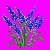flowers:65.mature.183.png