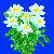 flowers:67.mature.186.png