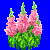 flowers:68.mature.189.png