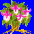 flowers:70.mature.193.png