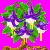 flowers:70.mature.194.png