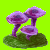 flowers:71.mature.201.png