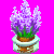 flowers:74.mature.215.png